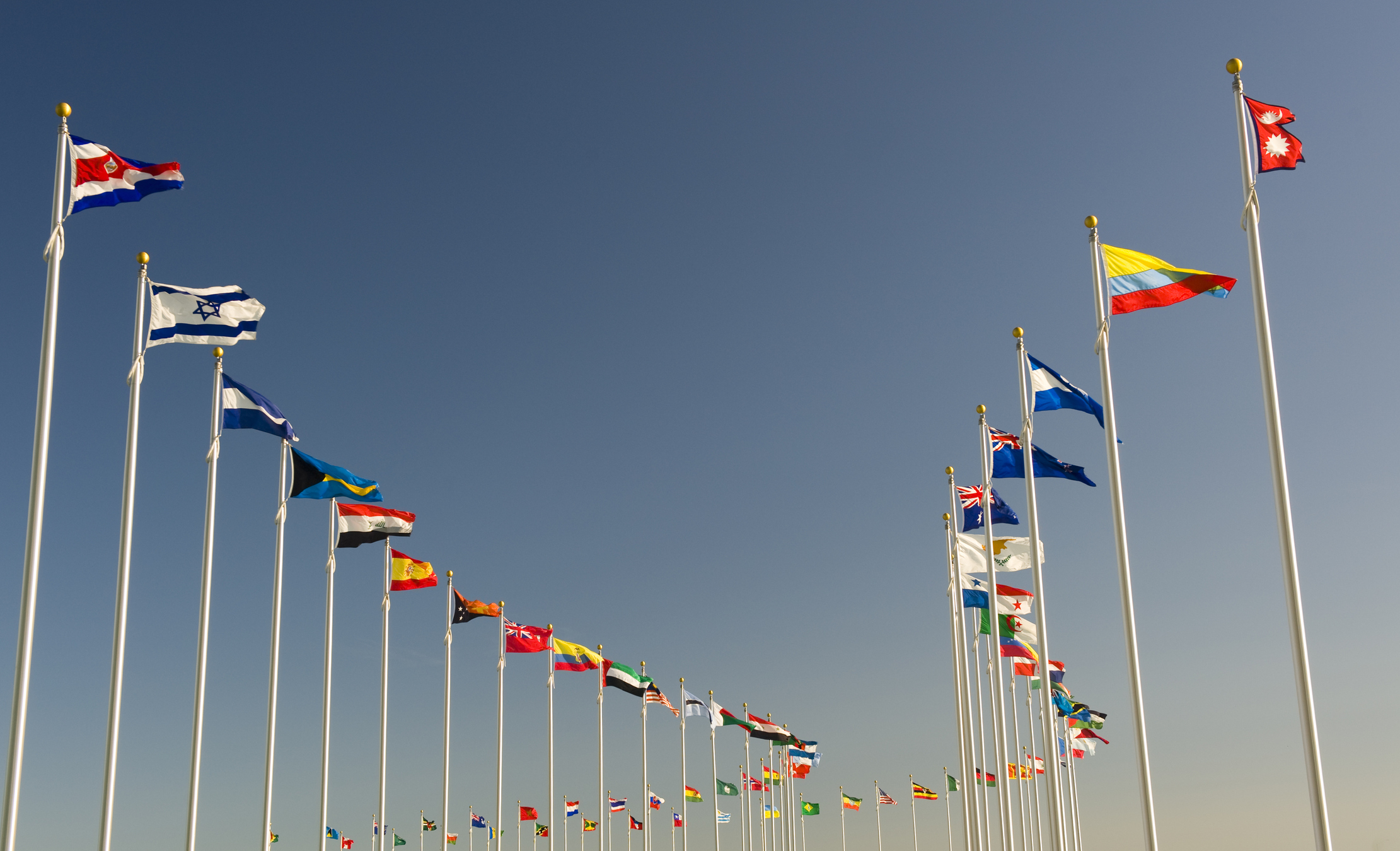 WTO Members Should Allow Digital Trade to Flourish, Not Constrain It - Vimarsana News