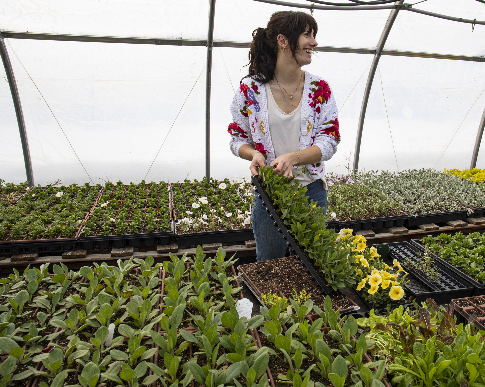 A woman tending growing flowers in a greenhouse