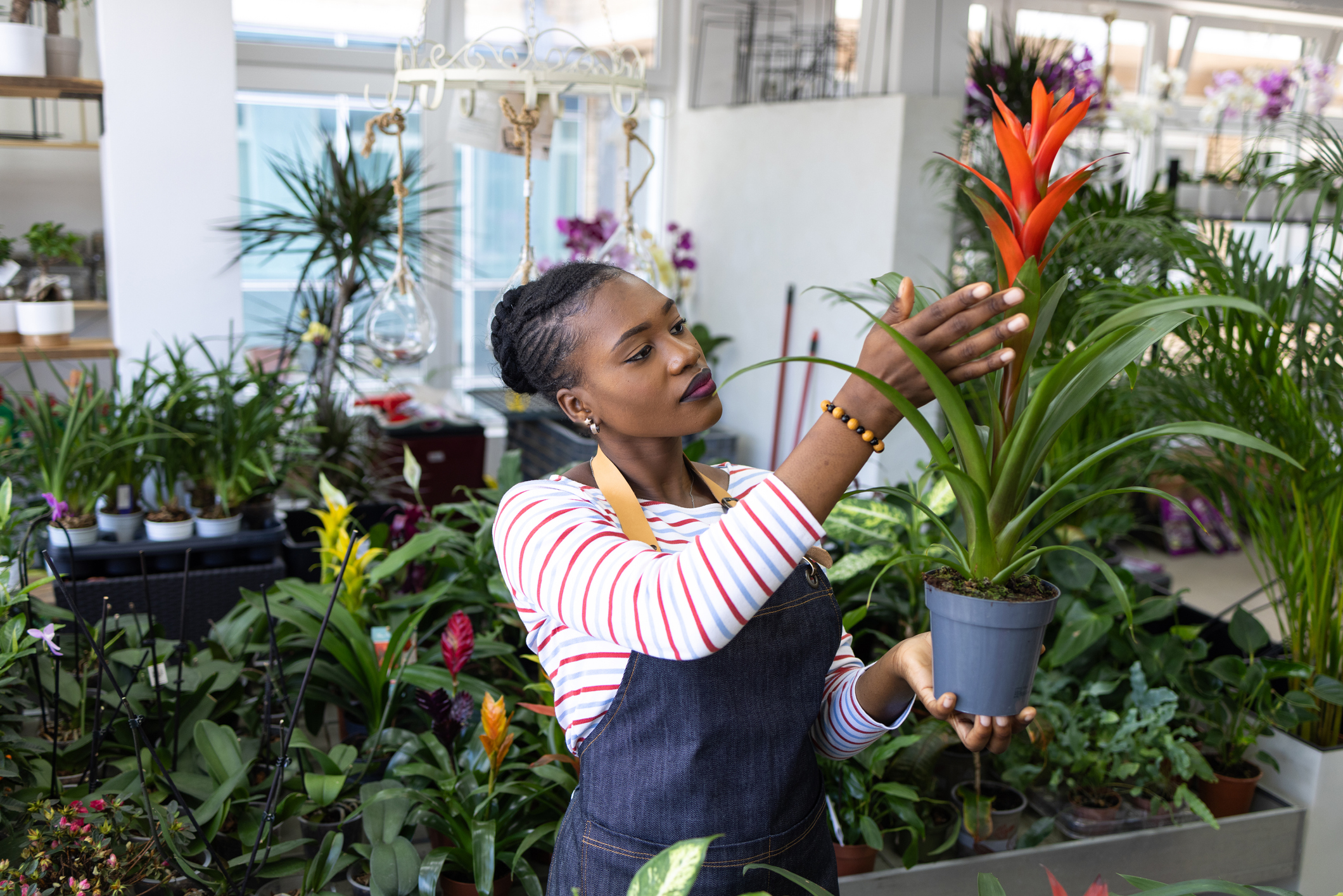 A young florist inspecting a plant