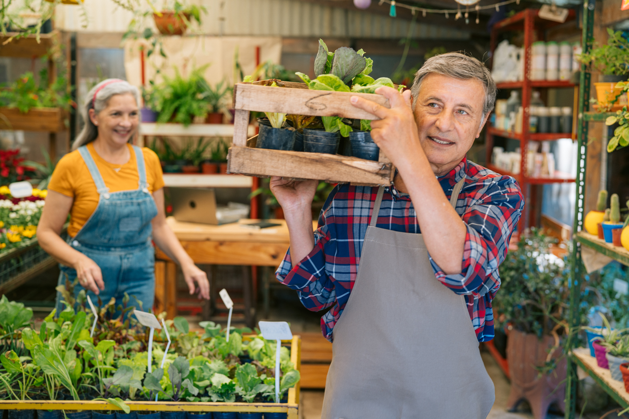 An older man carrying a box of vegetable starts