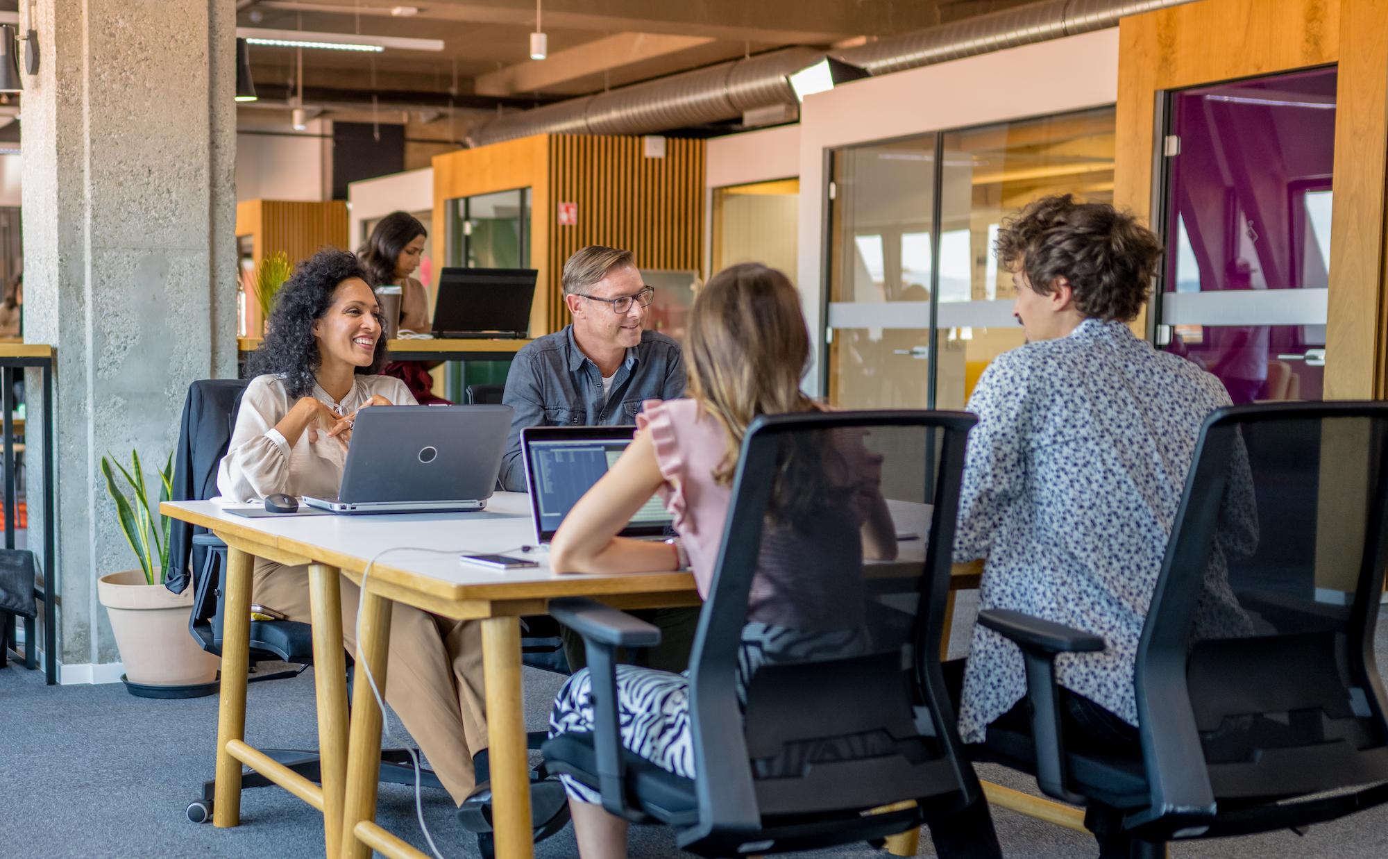 A group of office coworkers working on laptops around a table